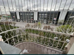 Apartment near Pushkin station